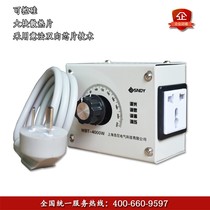 220v voltage regulator 4000w High power controllable silicon speed regulator fan dimming thermoregulation throttle switch with socket