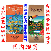 Spot United States MAGNUM Jamaica Blue Mountains Roasted Arabica rainforest coffee beans Big-billed 907