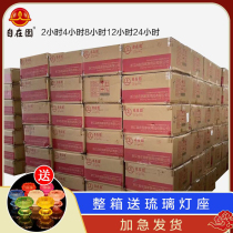 Cisfeng (whole box) at home crisp oil lamp Home 4 8 12 24 hours Smoke-free for the Buddha Changming lamp