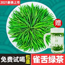 Gentleman water bamboo leaf green tea 2021 new tea Super Maofeng Mountain Sichuan Emeishan sparrow tongue bud bulk