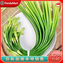 (YummyHunter-Tender garlic moss)Fresh farm vegetables about 1kg Singapore local delivery