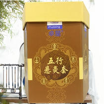 Five-line moxibustion moxibustion jar scraping moxa stick moxibustion set with moxibustion fire dragon moxibustion set box back fumigation instrument home