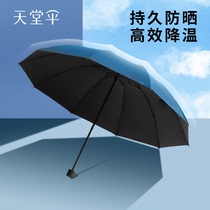 Paradise umbrella black sunscreen UV protection parasol oversized double folding umbrella umbrella for men and women