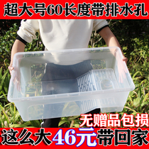 Oversized king-size turtle tank with drainage plastic large turtle tank Land and water tank turtle breeding box No giveaway