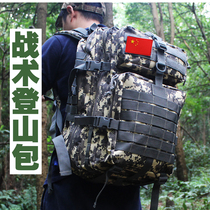 Camouflage 3p tactical backpack walking March multi-function attack single soldier bag large capacity travel outdoor mountaineering bag