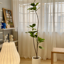 Simulation green plant rubber tree banyan indoor living room decoration bionic fake plant potted high-end light luxury flower floor decoration