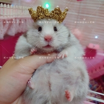 (Waffle House)Crown Gold Bear hat Handmade pet hat Hamster hat Pet headdress