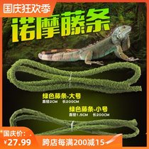 Normo tree vines old rattan reptiles for landscaping chameleon lizard snake