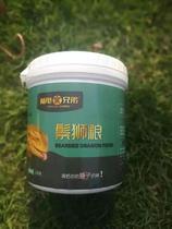 Tortoise Brothers Mane Lion Food Blue Tongue Vegetarian Green Lizard Food