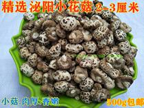 Super small mushroom 1kg 500g this year's new farm dry goods Biyang specialty cut foot mushroom winter mushroom