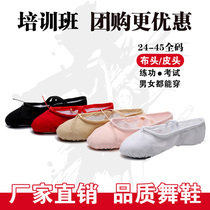  Batch of dance shoes Womens soft-soled hair practice shoes Mens adult childrens dancing cat claw shoes Body yoga ballet