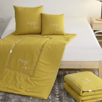 Pillow quilt dual-purpose office nap air-conditioning blanket thickened pillow quilt two-in-one car cushion pillow