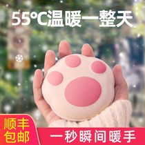 Hand-warming treasure charging warm baby hot water bag girls explosion-proof cute plush Electric Electric treasure with winter hand warming artifact