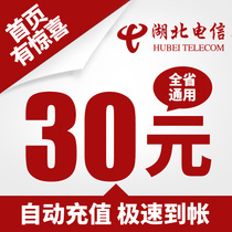 Hubei Telecom 30 yuan mobile phone charge recharge automatic fast charge instant to the account fast to the account direct charge