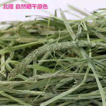2021 Timothy Rabbit grass fodder dragon cat Dutch pig TiMoses grass pasture pasture geranium grain 500 gr