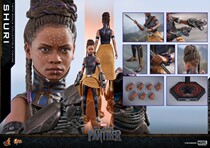 (East Grand Palace Shunfeng) HOTTOYS HT MMS501 Black Panther Su Rui Princess Leopard