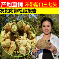 Yunnan Wenshan Chun Sanqi 20 head Tianqi 30 Head 40 Wash Sanqi Tian Qishou Tianqi Powder 500g