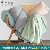 Type A cool-feeling antibacterial ice cream air conditioning is washed by ice silk Summer is washable by a washable core Summer thin section by a subsummer