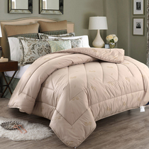 Camel hair quilt silk cotton quilt core winter is thickened warm spring and autumn dormitory quilt quilt single space quilt