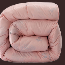 Shuiyang pure wool is warm and thickened autumn and winter quilt core single double warm quilt quilt quilt Australian double quilt core