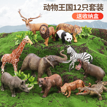 Simulation animal toy set wild solid farm zoo model children boys and girls baby cognitive ornaments