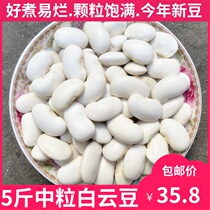 Medium white kidney beans 5kg new goods Yunnan specialty farmers white beans Baiyun Beans beans coarse grains coarse grains