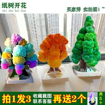Magic Christmas tree will bloom cherry blossom paper Tree Children science experiment creative magic magic toy Christmas