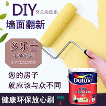 Dorothy indoor latex paint interior wall mesh red paint Wall renovation color change color white net taste keg 1L