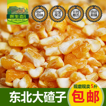 Northeast Dazi 500gX5 packs of non-genetically modified corn dregs farmhouse stupid Dacha Zi Da Bao porridge rice stubble