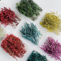 Eternal lover grass dried flowers diy aromatherapy candle aromatherapy wax brand dried flowers decorated with gypsophila pine leaves Eucalyptus
