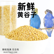 Cow pet tiger skin parrot feed bird food Xuanfeng millet peony grain Bird yellow bird bird with shell small yellow rice 5kg