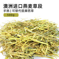 See details manual screening of cattle pet gold oat grass 500g Australian oat grass hay Hay rabbit Dutch pig grass section