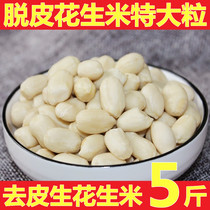 Freshly peeled raw peanuts peeled peanuts peeled peanut kernels nougat peanut soup 5 pounds of cold salad