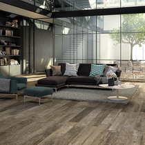 Spanish original imported American Asheng Yasuli Modern Simple Floor Tiles Alabama MG3103-F3