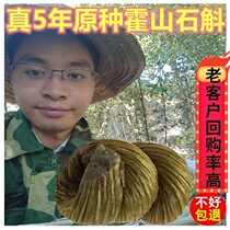 Original 5-year-old premium selection Huoshan Dendrobium tin dendrobium powder maple bucket fresh strips send dendrobium flowers
