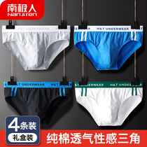  Antarctic mens underwear pure cotton sexy triangle shorts head plus size plus fat mid-waist breathable trend underpants