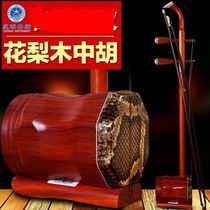 Beijing Xinghai 8712 professional rosewood Zhonghu learn to play Zhonghu national musical instruments and send accessories