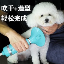 Pet hair blowing hair pulling artifact Hair blowing comb Dog hair pulling machine Integrated hair dryer Teddy hair blowing comb Beauty special