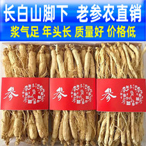 (Todays special)6 years of raw sun ginseng 500g Northeast ginseng Changbai Mountain wild mountain ginseng White ginseng dried ginseng dried goods