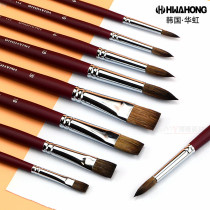 South Korea imported Huahong watercolor gouache pen horse mane flat head round head pointed large medium trumpet brush