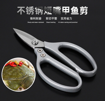 Turtle scissors strong short mouth to kill turtle special scissors stainless steel kitchen multifunctional household cut chicken and duck bone