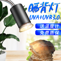 Turtle Lamp Sunburn Back Light Turtle Cylinder Three-in-one Full Spectrum Uvb Solar Light Tonic Calcium Heating Germicidal Insulation Small