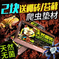 Turtle hibernation supplies Brazilian tortoise crawl coir coconut sand reptile box pet mat for winter warm soil Moss