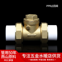PPR double hot melt check valve brass check valve horizontal 4 minutes 20 6 minutes 25 1 inch 32 water pipe fittings
