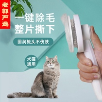 Pet cat comb to float magic comb hair universal needle comb bristle dog puppet golden hair English short supplies