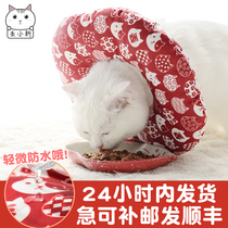 Lost small new Elizabeth ring cat rabbit soft cloth collar waterproof Kitten Cat Moss anti-scratch scratch anti-licking headgear