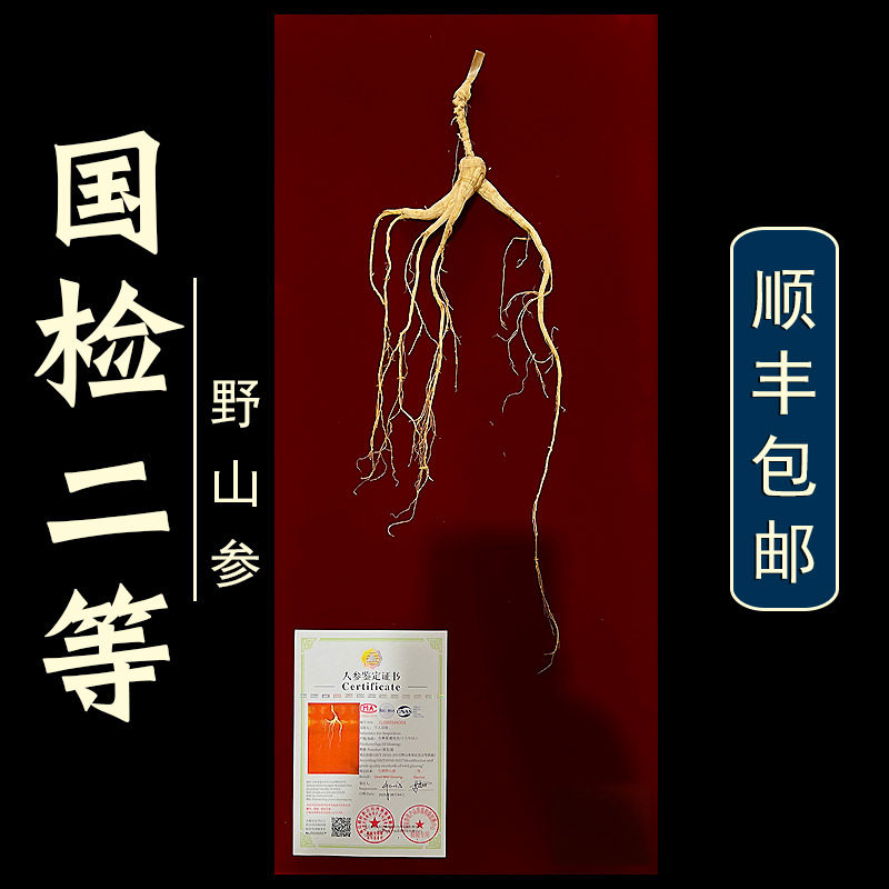 野山参二等-野山参二等促销价格、野山参二等品牌- 淘宝