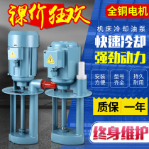 Three-phase electric pump 380V CNC machine tool cooling water pump oil pump all copper motor grinder wire cutting circulating pump