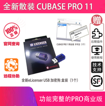 Steinberg music exam software Cubase Pro 11 Chuan Yin now sound students purchase discount