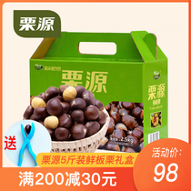 Kuriyuan 2021 organic fresh chestnut 5kg gift box Mountain old tree Qianxi chestnut oil chestnut gift specialty